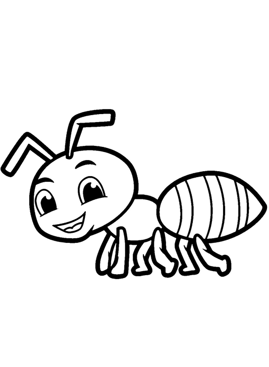 Ant
